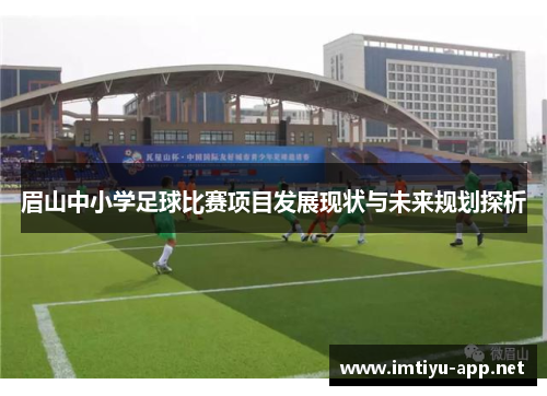 眉山中小学足球比赛项目发展现状与未来规划探析